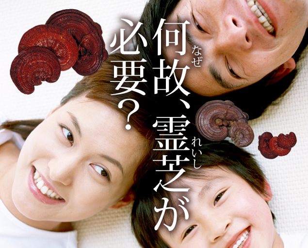 楊貴芝 (ようきし) « ミキモト化粧品西日本代理店 大木産業株式会社