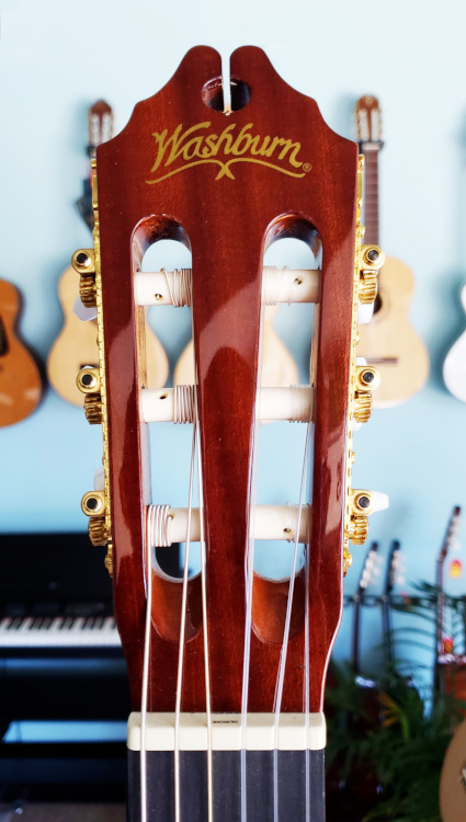 Washburn C64SCE Classical Guitar - San Marino Music Center