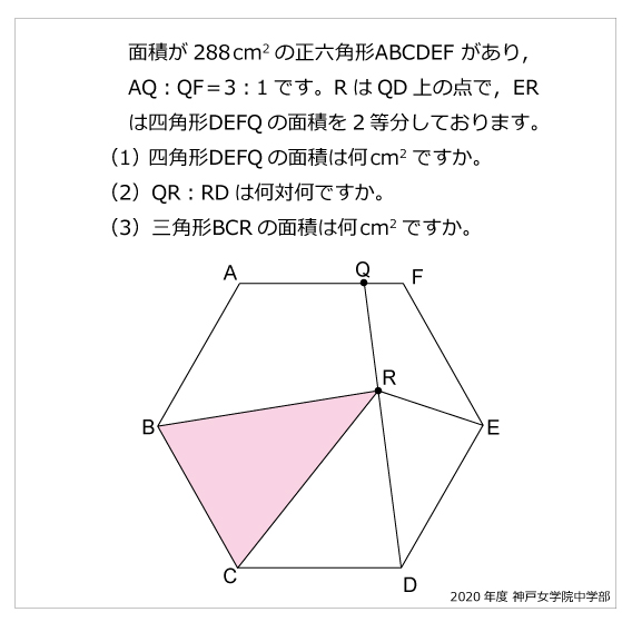 浜学園神戸女学院L神女コース教材算数理科社会16冊まとめ売り