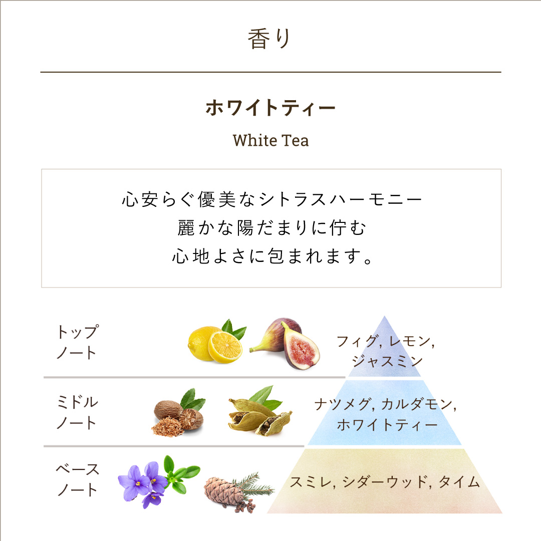 ボディケア スタートセット (ホワイトティー)』 | SABON (サボン)