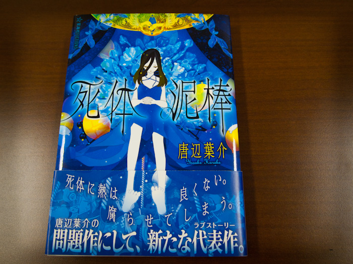 死体泥棒 唐辺葉介 星海社fictions Amazon.co.jp: 死体泥棒 (星海社