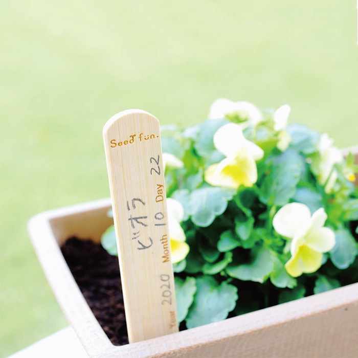 くり返し使える竹ラベル ながいタイプの挿しラベル｜種（タネ）,球根