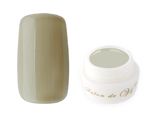 COLOR | Salon de Vi2