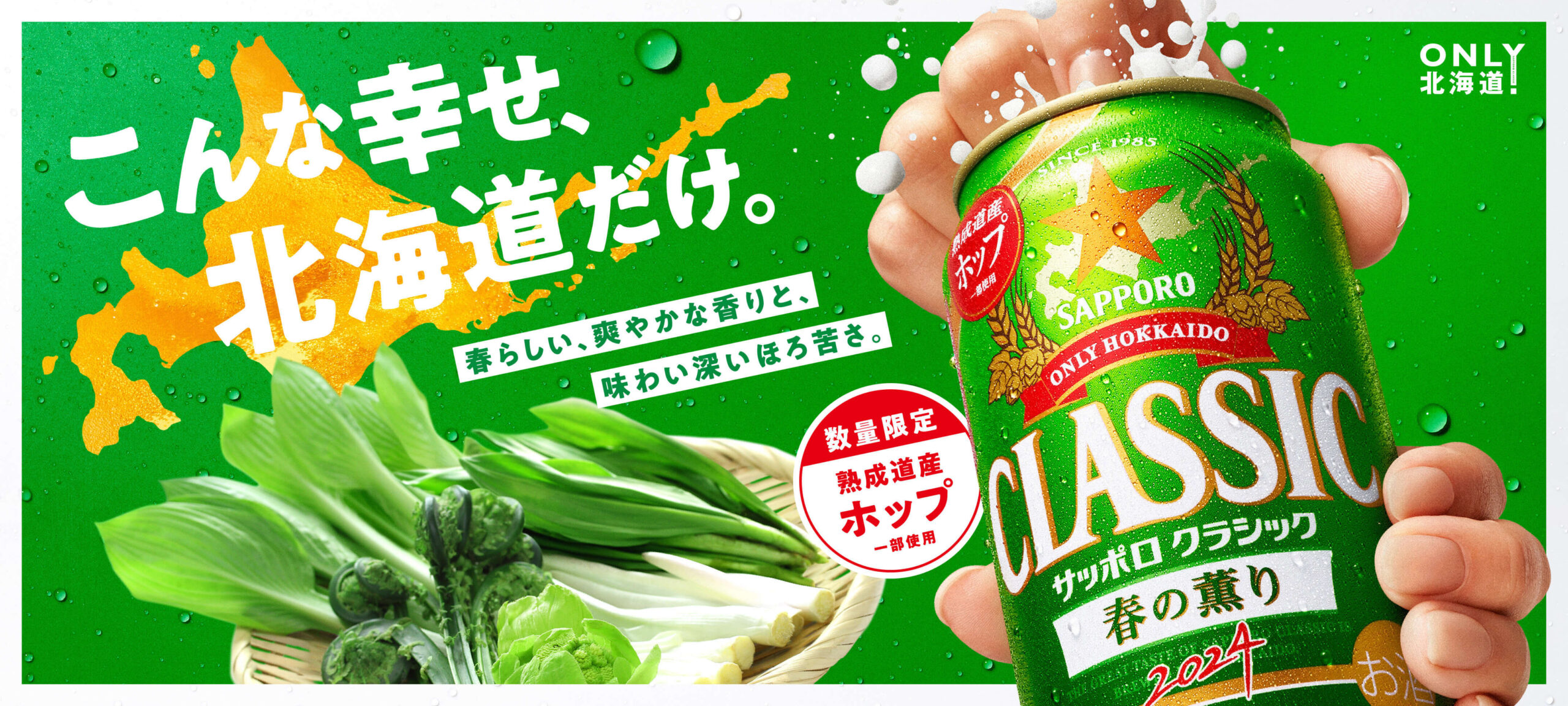 2024年サッポロクラシック春の薫りが北海道限定で販売開始！ | 北海道