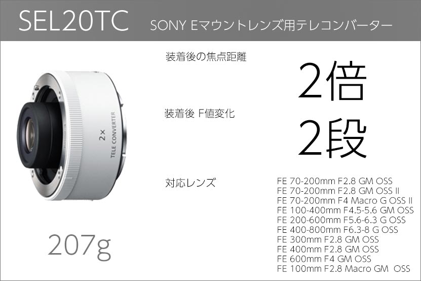ソニーテレコンバーター ｜望遠レンズの飛び道具!作例付きで紹介