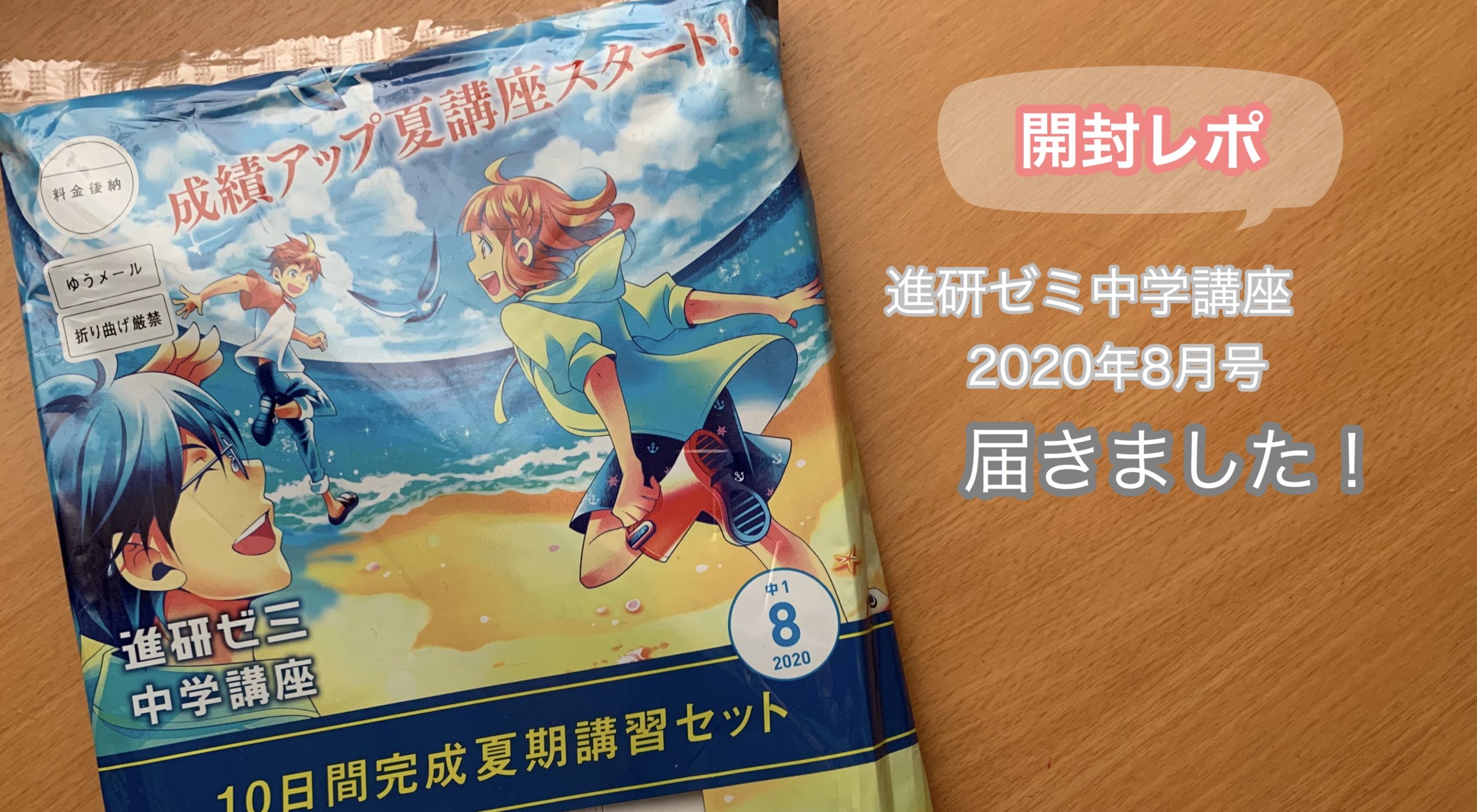 進研ゼミ 中学受験講座実戦テキスト 6年 8月号〜1月号 【公式通販】