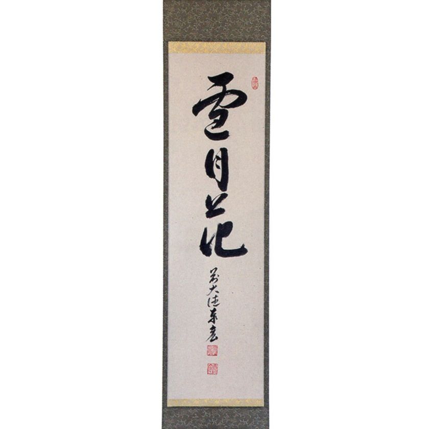 000000009807-01-xl.jpg?t=