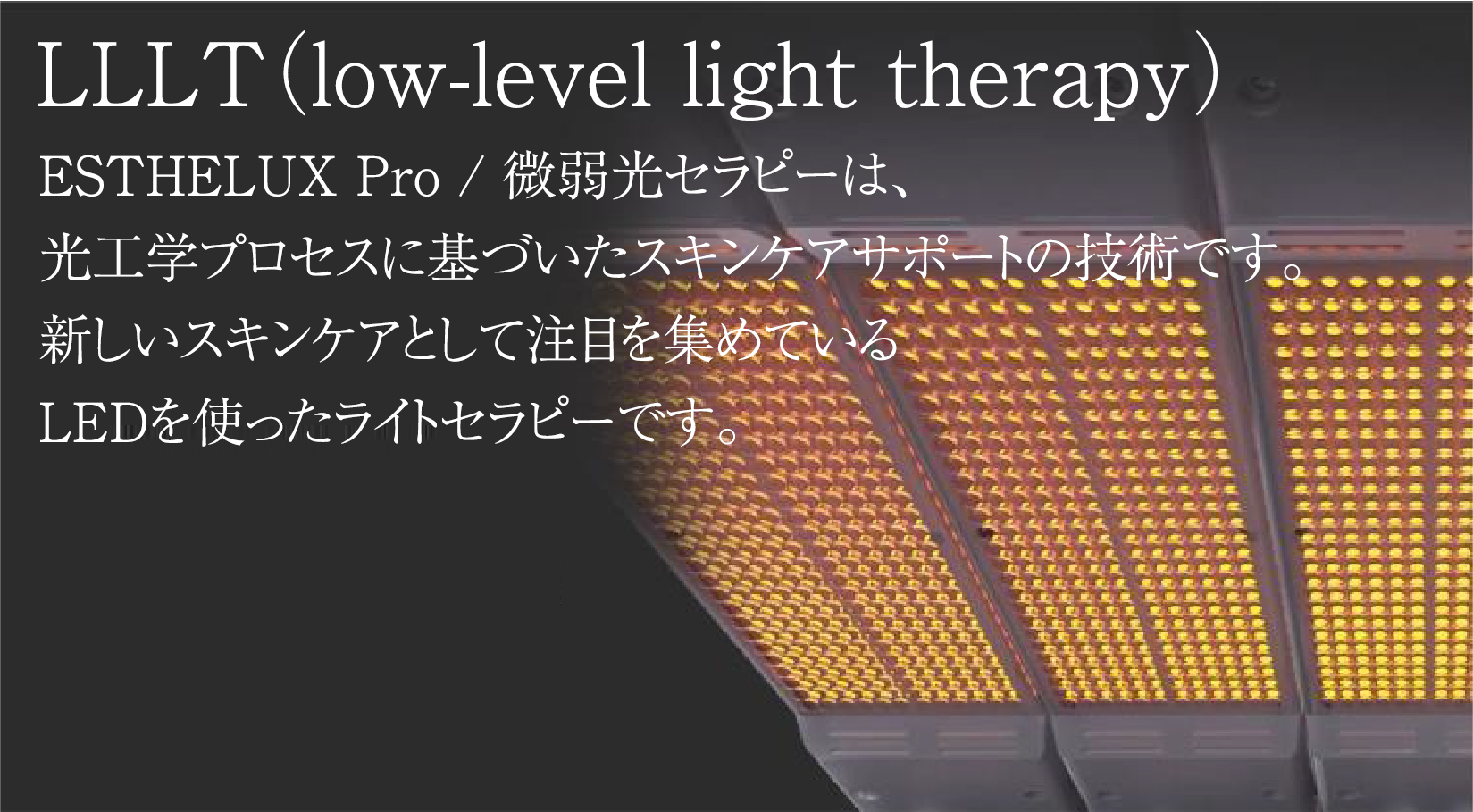 ESTHELUX Pro エステラックスプロ | LEDセラピー | 誠鋼社