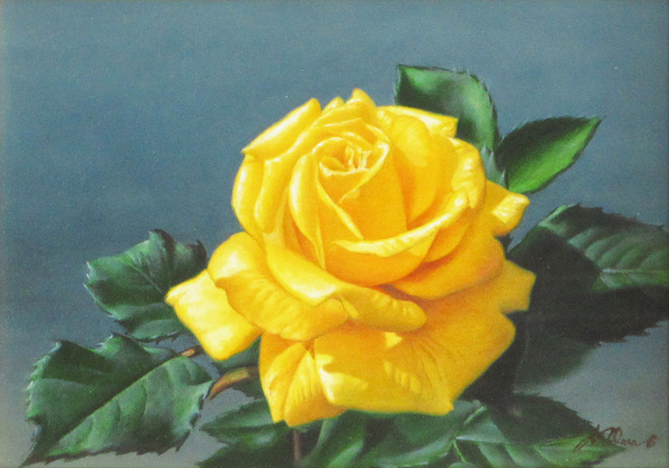 花笑み一輪 | ｜正光画廊