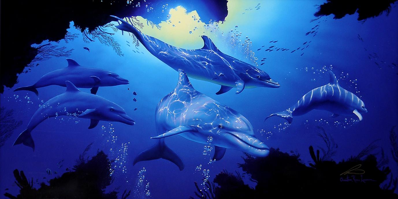 ファイヴドルフィンズ | ｜正光画廊