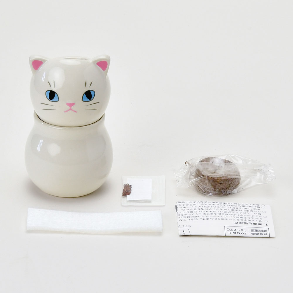 COROCORO cat コロコロキャット｜目線を変えて表情の変化を楽しむ猫の