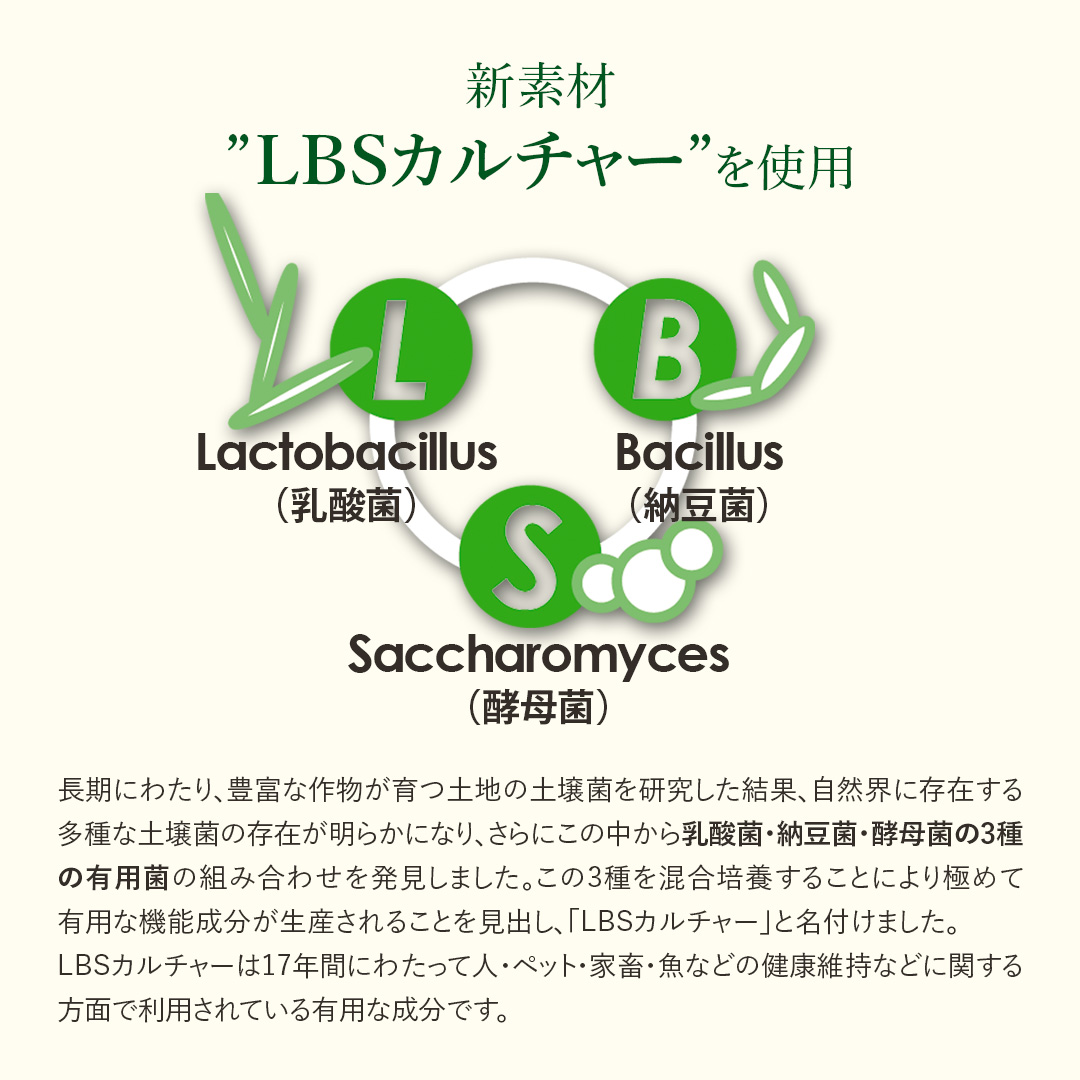 LBSオーガニック メソ ボディクリーム｜温泉水配合・弾むうるおい