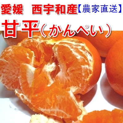 甘平（かんぺい） 10kg 【訳あり／家庭用】 送料無料 愛媛産 | KEEP