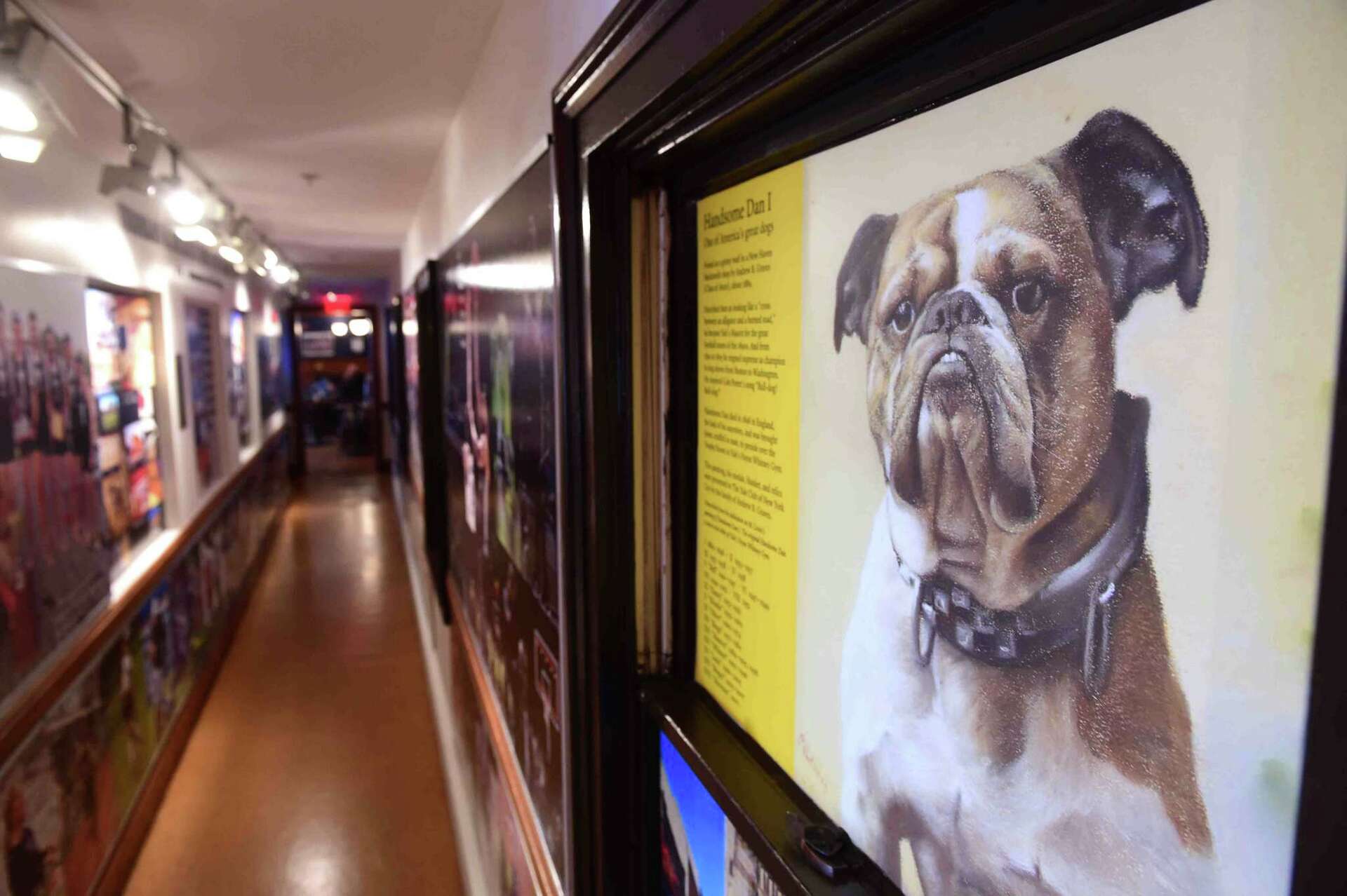 Yale introduces Handsome Dan XVIII