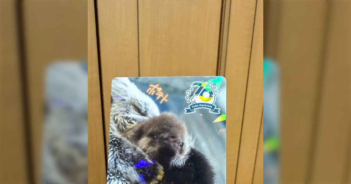 鳥羽水族館のコレクションカード、レアカードの裏面が尊くてもう
