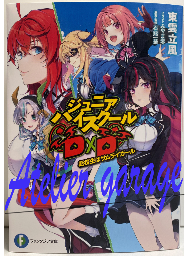 New Junior High School DxD Vol.1+Extra leaflet Rias+Ross 3Set