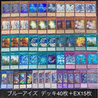 遊戯王 ブルーアイズ デッキ 青眼の白龍 デッキ 1枚の通販 【きち