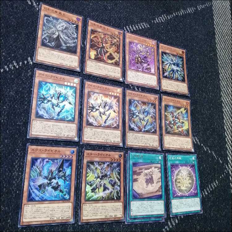 フォロワー様5%オフ 大会構築 巳剣ライゼオルデッキ ① フォロワー様5