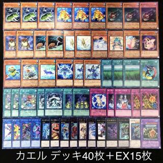 遊戯王 カエル デッキ40枚 EX15枚 構築済み ガエル エクシーズ 水族 30