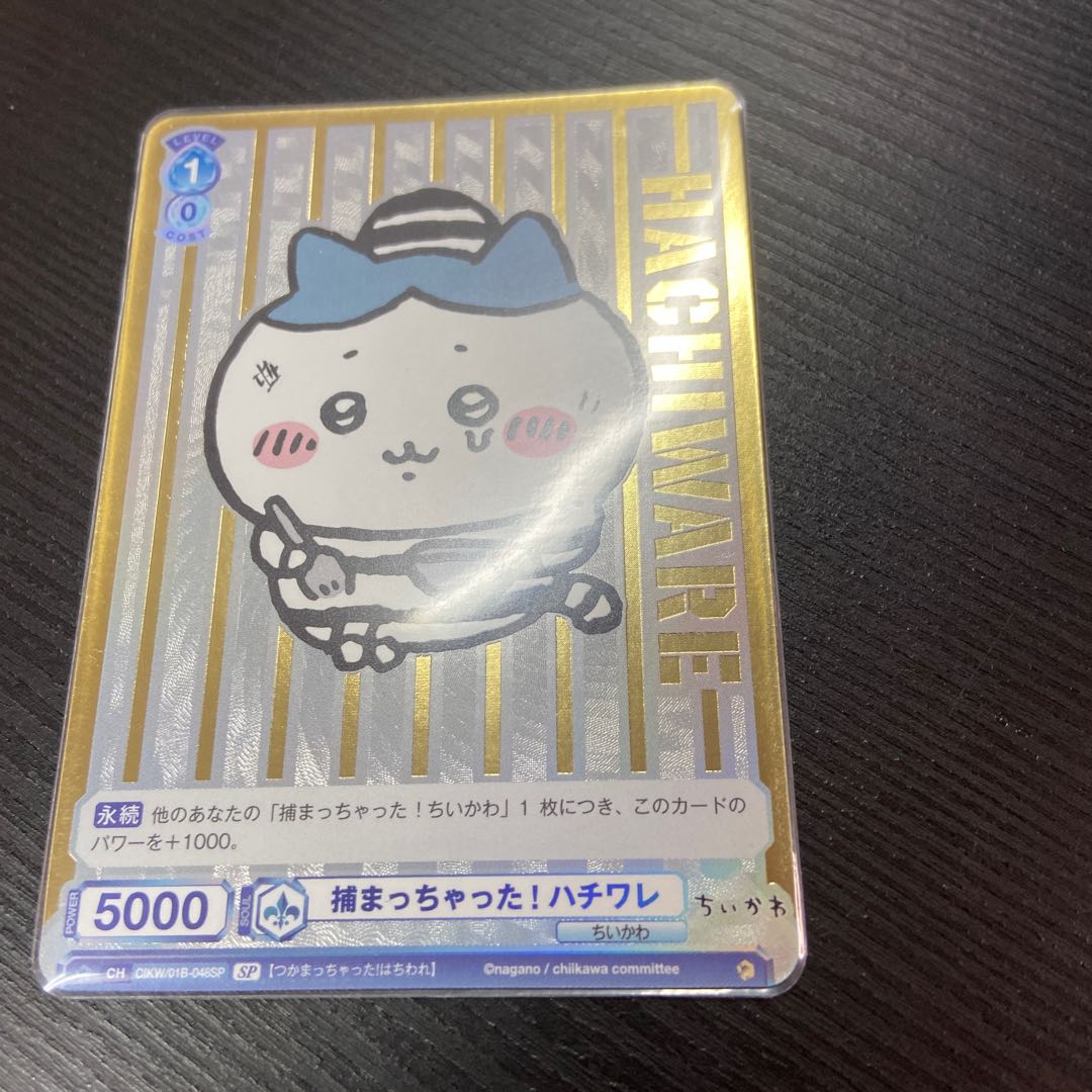 捕まっちゃった！ハチワレ SP 1枚の通販 BungBung（331110197） | magi