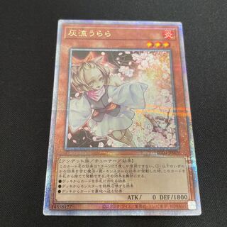 灰流うらら 25」の激安通販 | magi