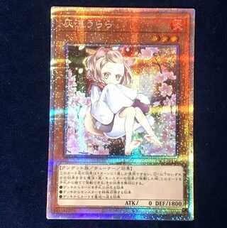 遊戯王 灰流うらら 絵違い プリズマティックシークレットレア2枚