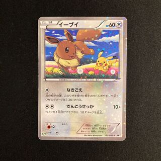 イーブイ セブンイレブン」の激安通販 | magi