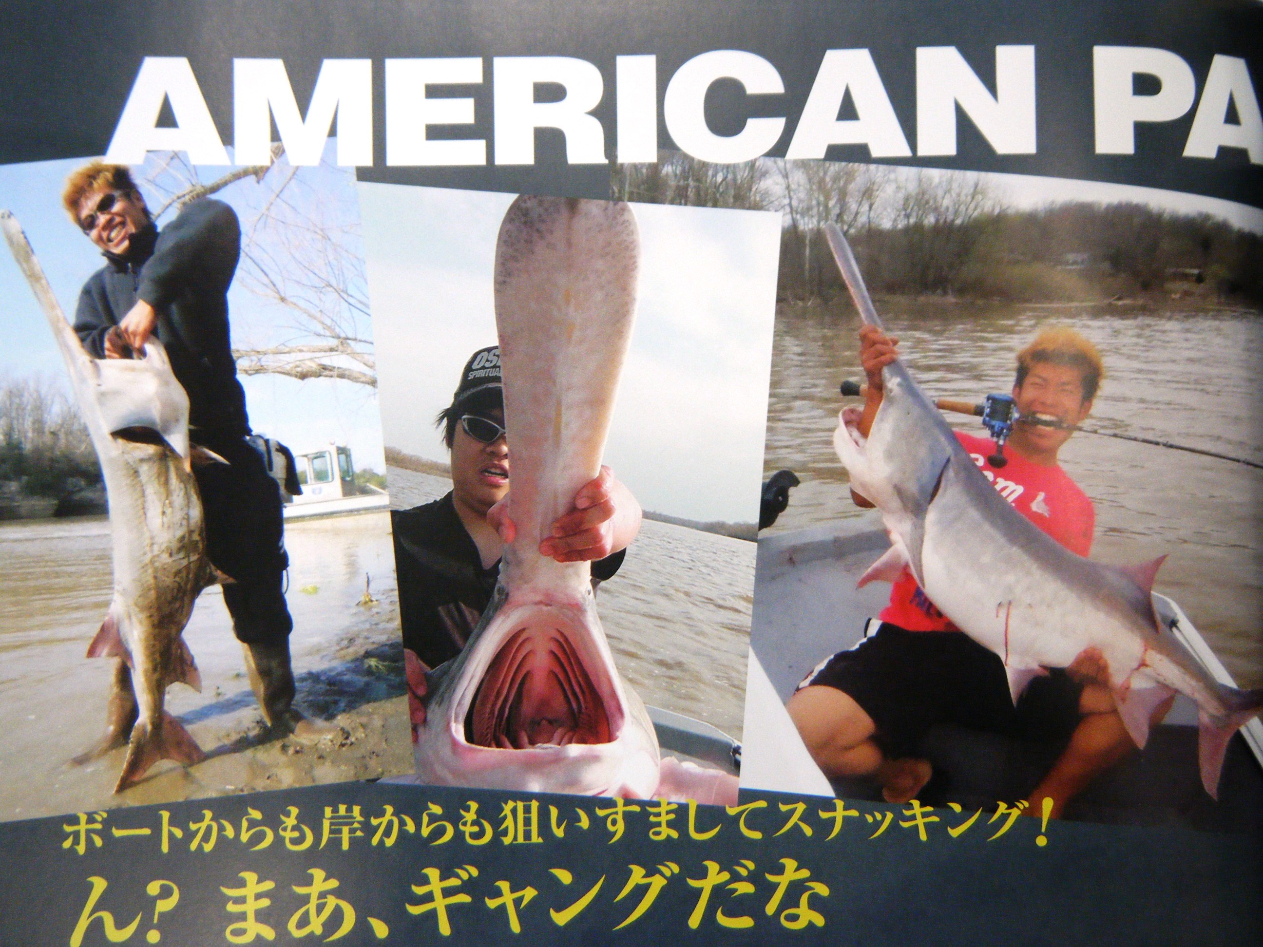 おすすめ】ワクワクが止まらない！「世界の怪魚釣りマガジン」 | 釣具