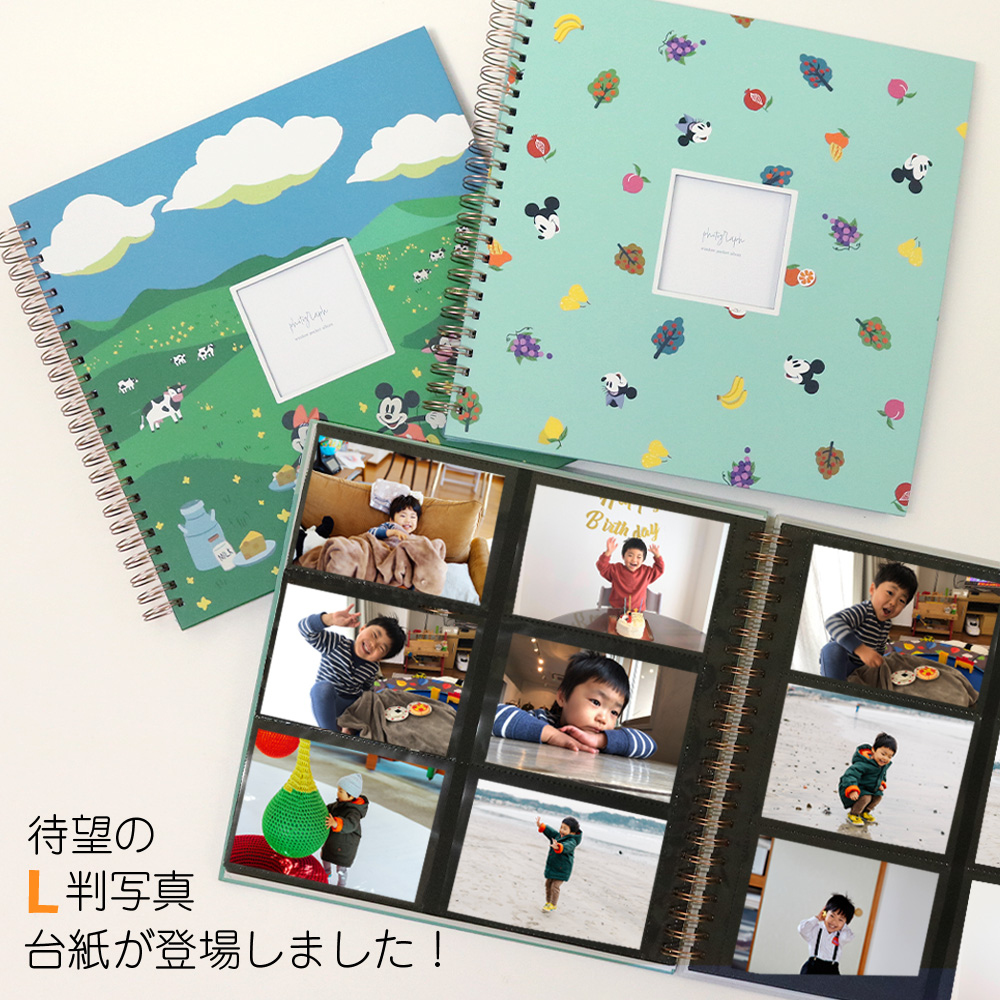 WEB限定品】ナカバヤシ ディズニー 窓抜き ましかくリング式アルバム