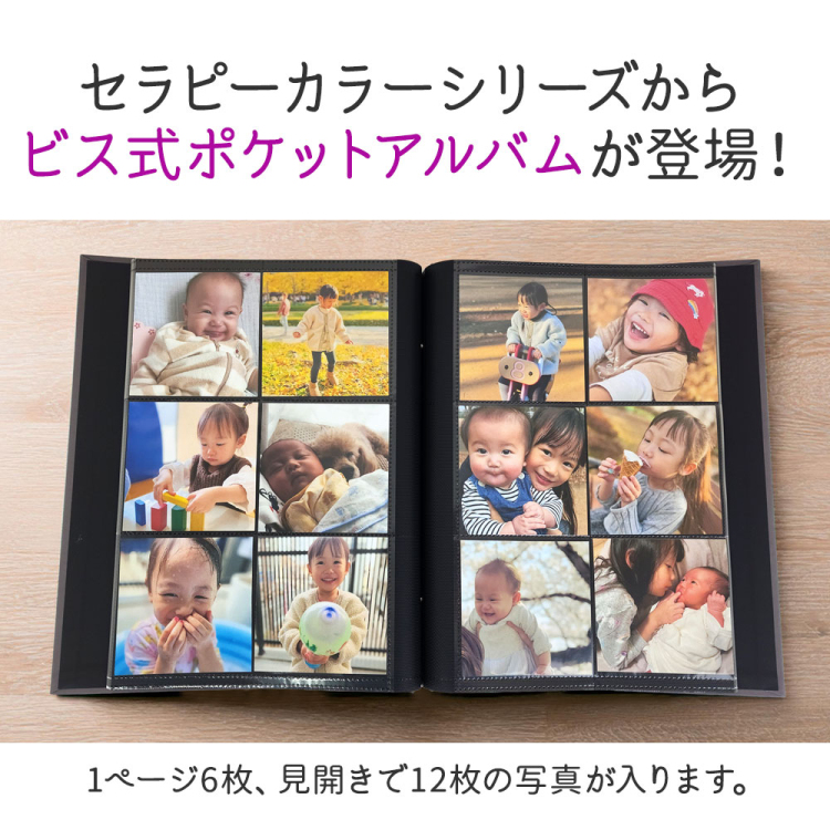 WEB限定品】ナカバヤシ セラピーカラー ビス式 ポケットアルバム まし