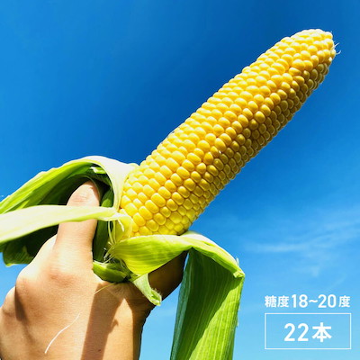 糖度18～20度！北海道産とうもろこし22本（わくわくコーンorほしつぶ