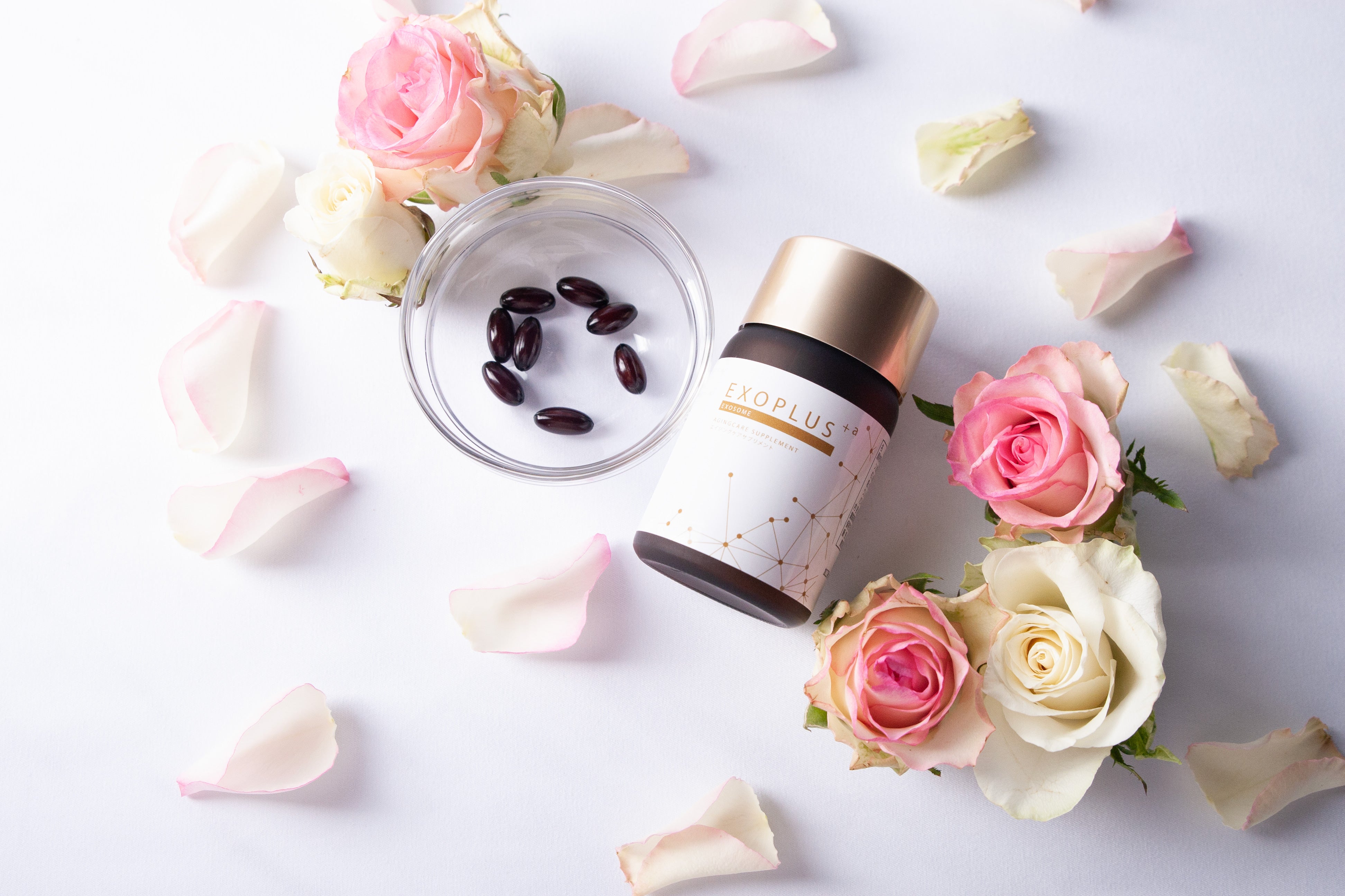 Exosome Supplement / エクソソームサプリメント | HAAB SKIN公式