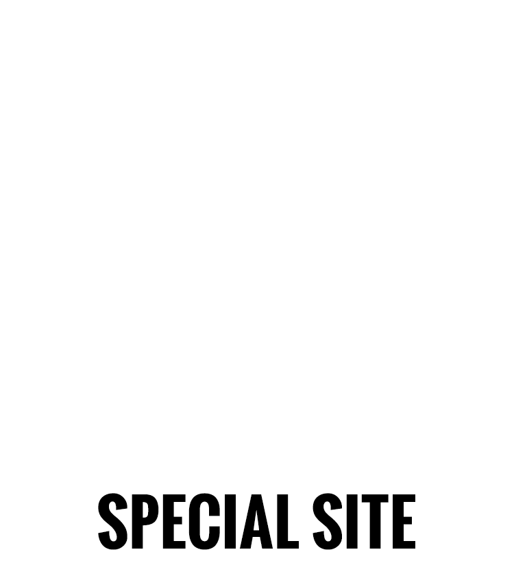 STAY JAPAN MOBILE