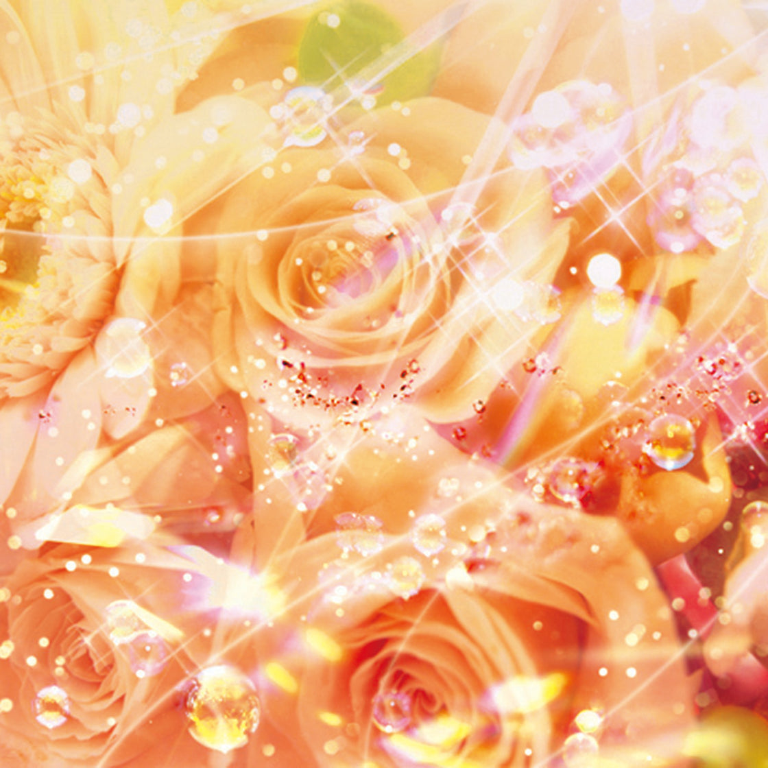 バーデンス アロマ シャンプー エレガントフラワー 詰替 500ml – モア