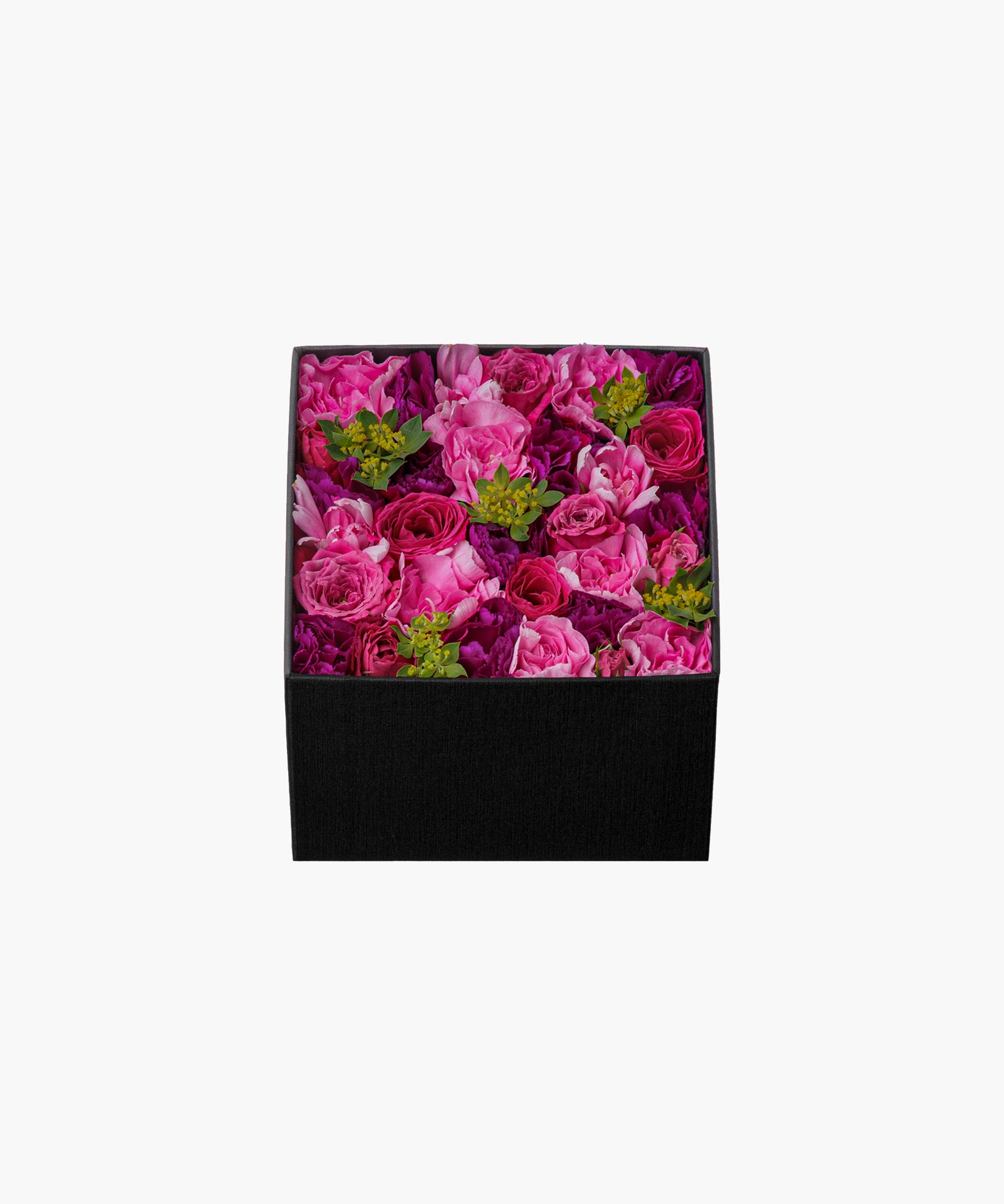 Blushing Rose (ブラッシング ローズ)