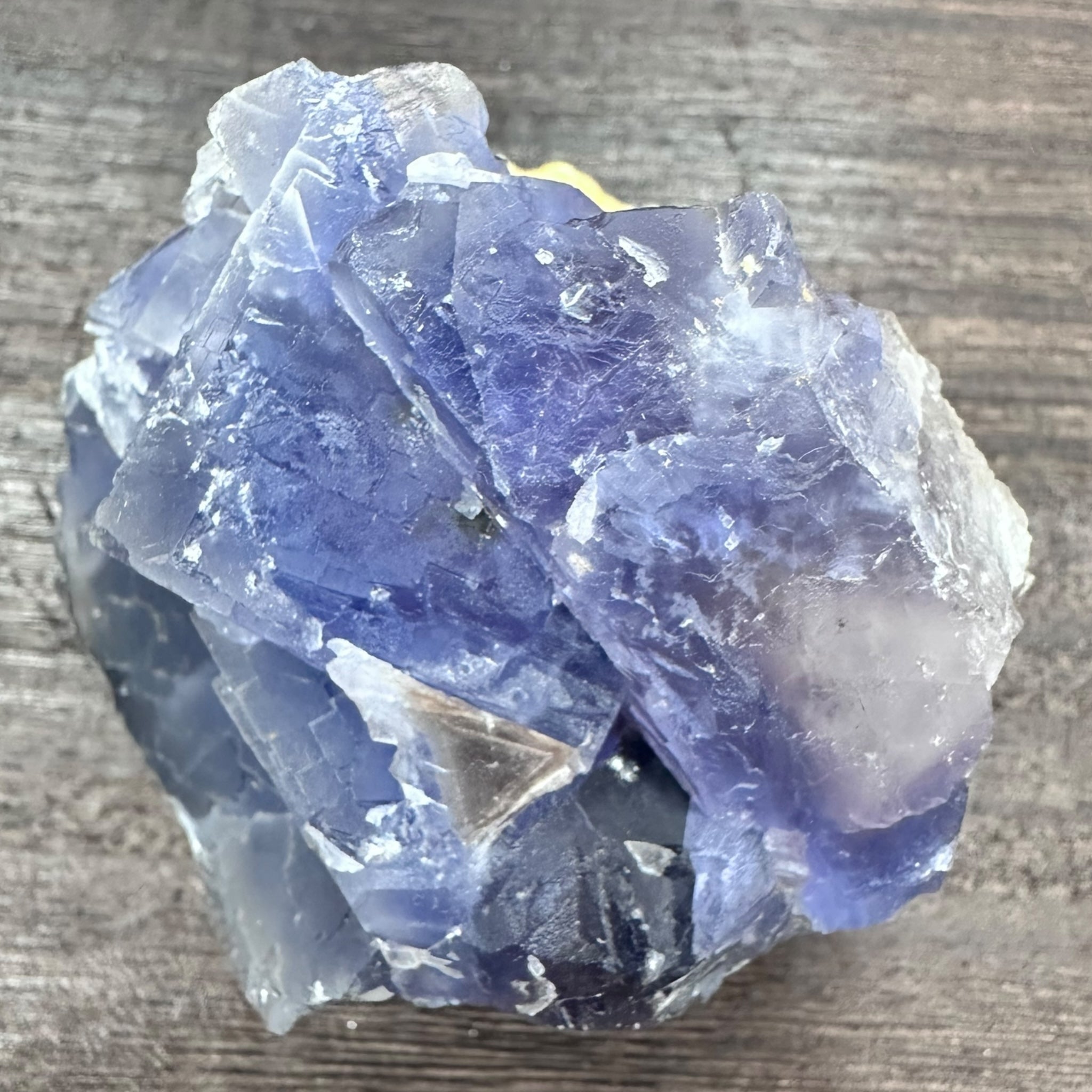 IMG-8774.jpg?v=1716861371&