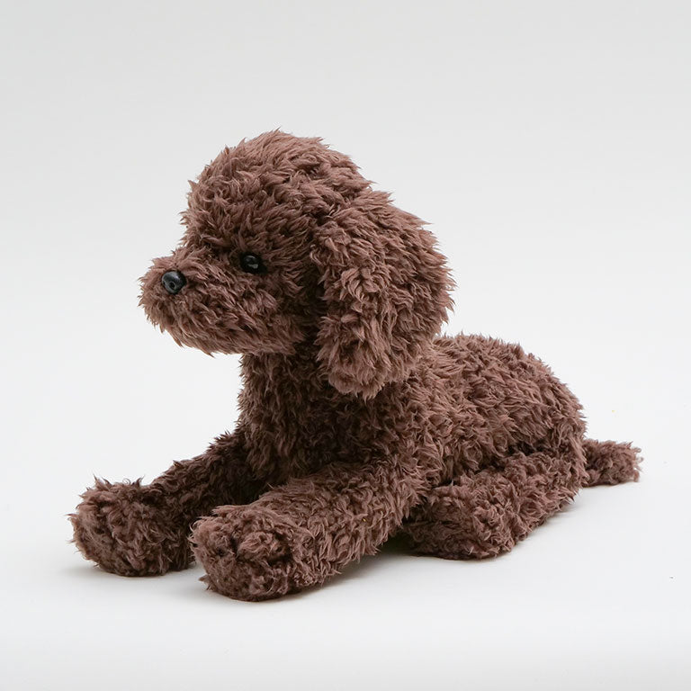 テディプードル ブラウン | DOGBASE YOKOHAMA