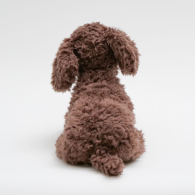 テディプードル ブラウン | DOGBASE YOKOHAMA