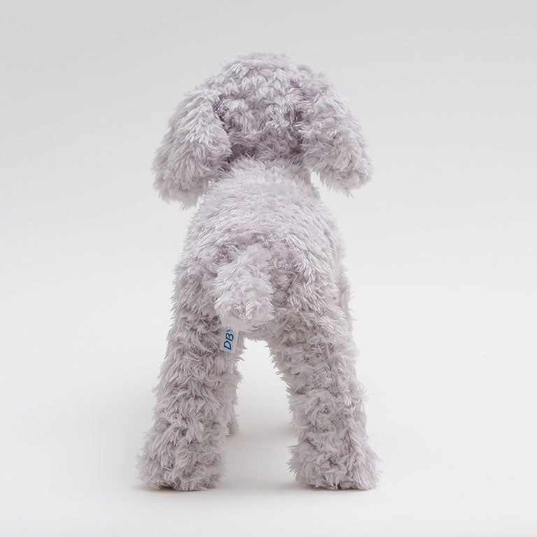 テディプードル グレー | DOGBASE YOKOHAMA