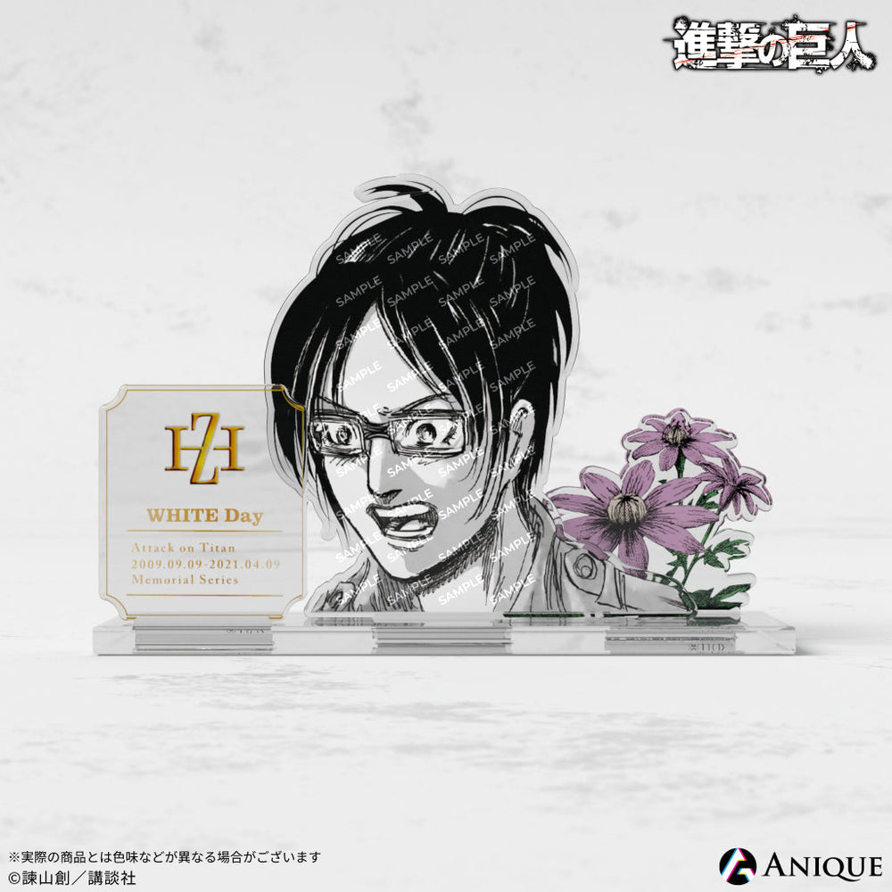 wd_acsta_5_1000x.jpg?v=1710728353