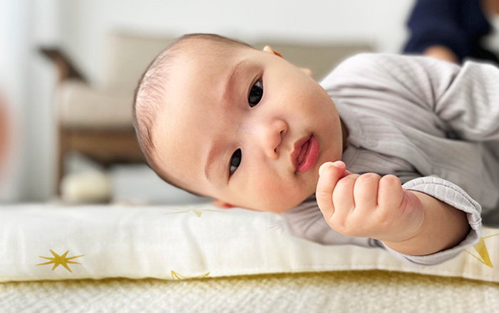 持ち運べる！体圧分散洗えるごろ寝マットの商品詳細|ベネッセ公式通販