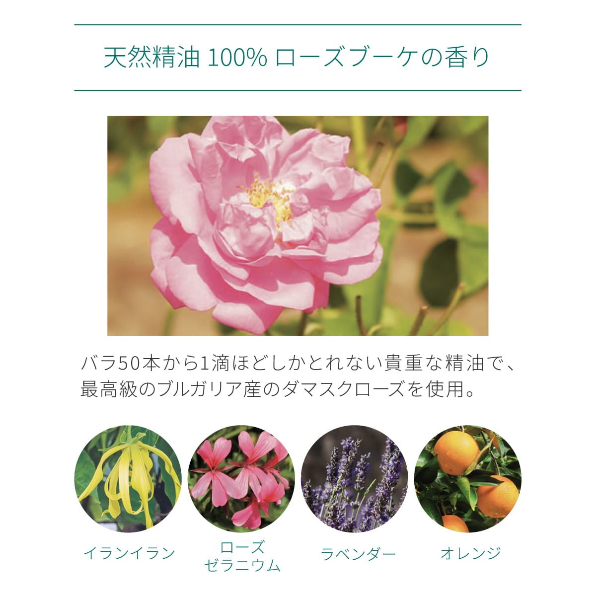 サラヤ｜ラクトフェリン ラボ ブースター モイストローション 120mL