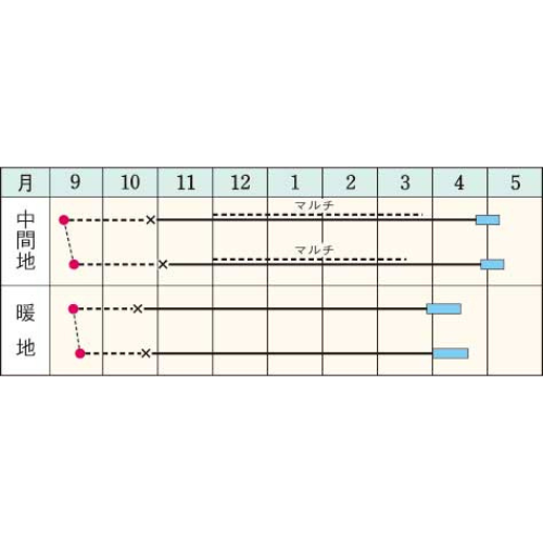 タマネギ・極早生そだちFA| 種・苗・ガーデニング用品の【タキイ