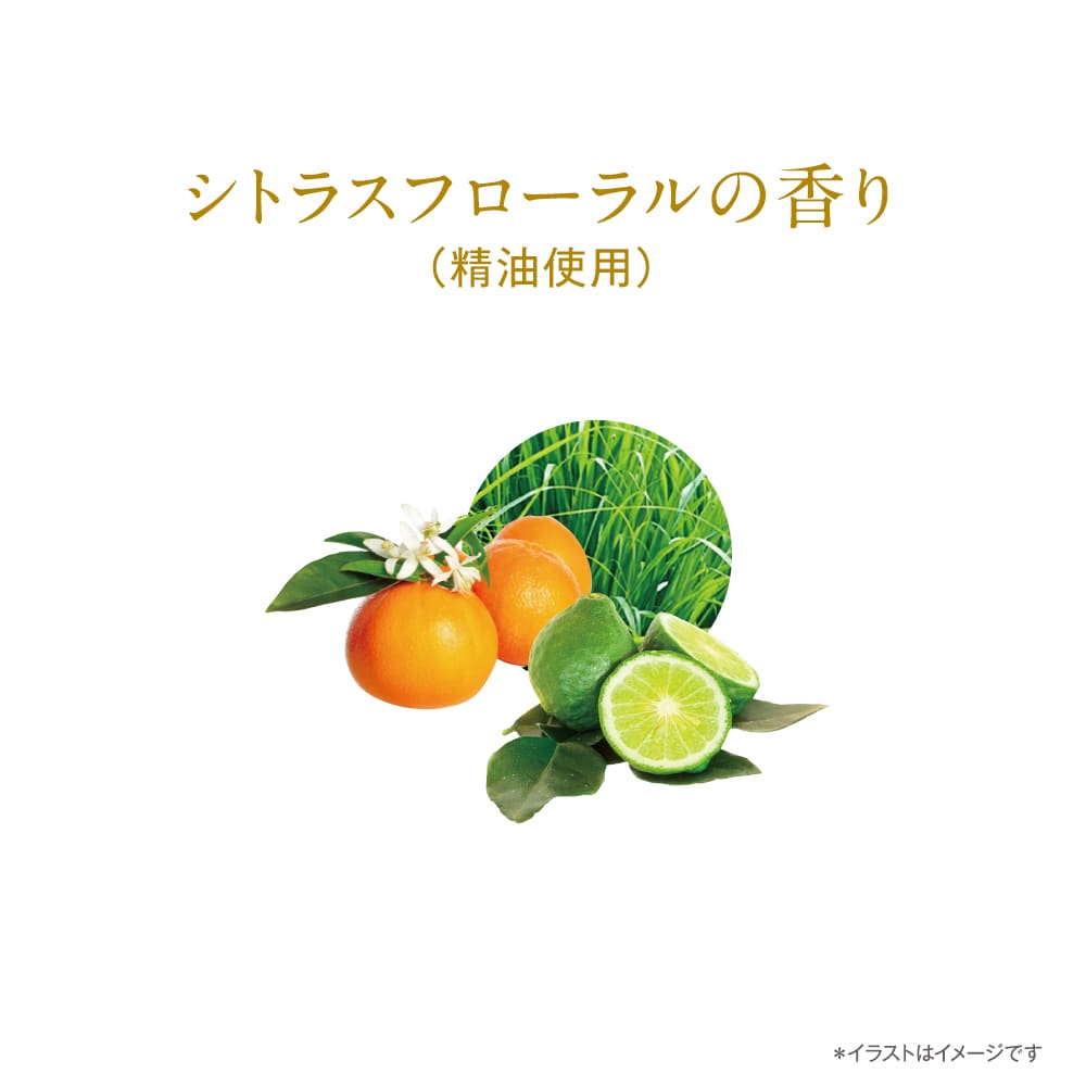 TBC 33Cセラム_12mL: 期間限定｜TBCオンラインショップ