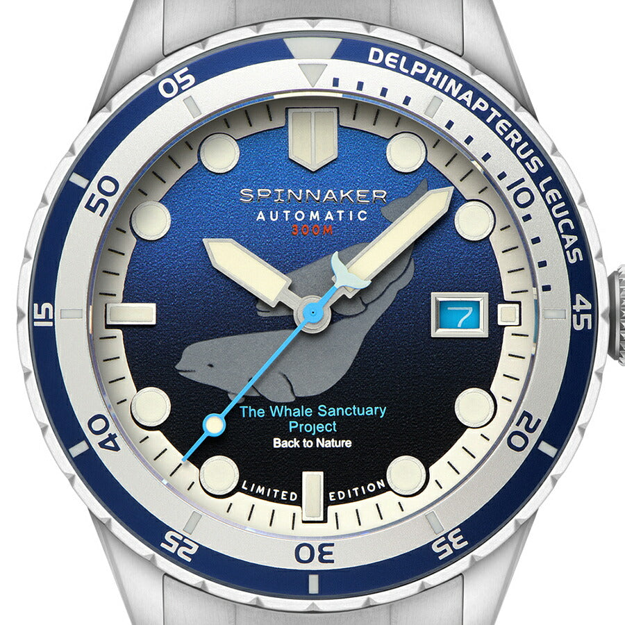 スピニカー HASS ハス ホエール サンクチュアリ プロジェクト 限定