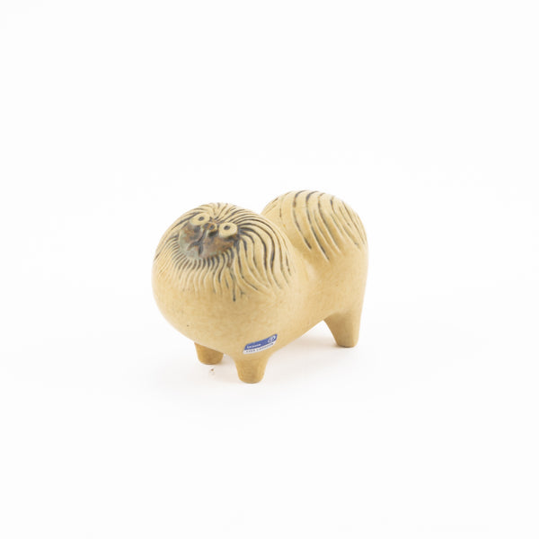 KENNEL Pekingese（ペキニーズ）