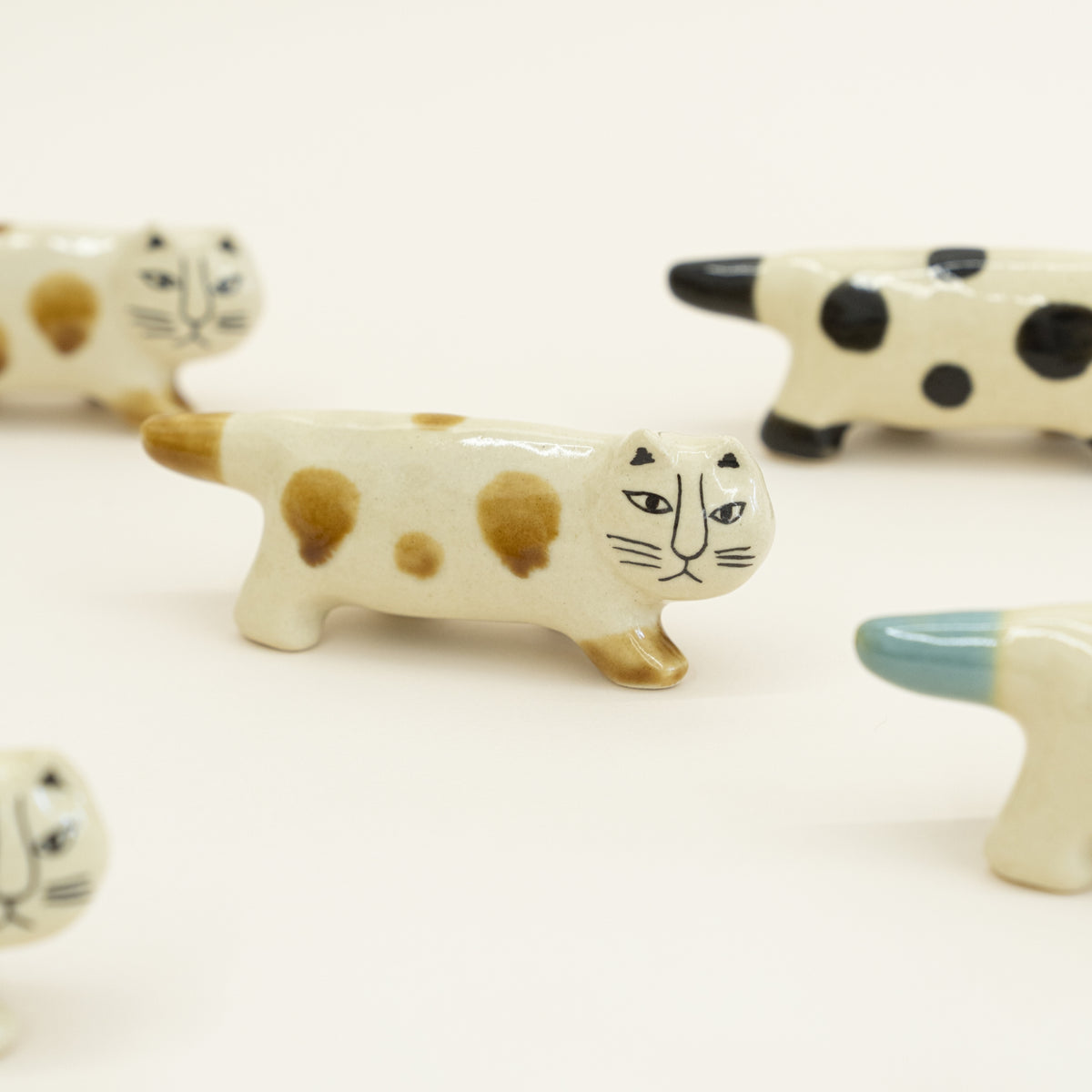 にっぽんのリサ猫（三番、益子）あめゆう