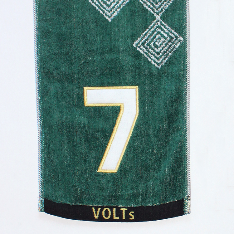 ハンブレッダーズ 2019 ロゴタオル 緑 NEW『IORINO／すぐさら』バス