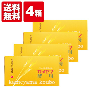 楽天市場】【最大半額！期間限定ガチャ開催中】 【公式】亀山堂