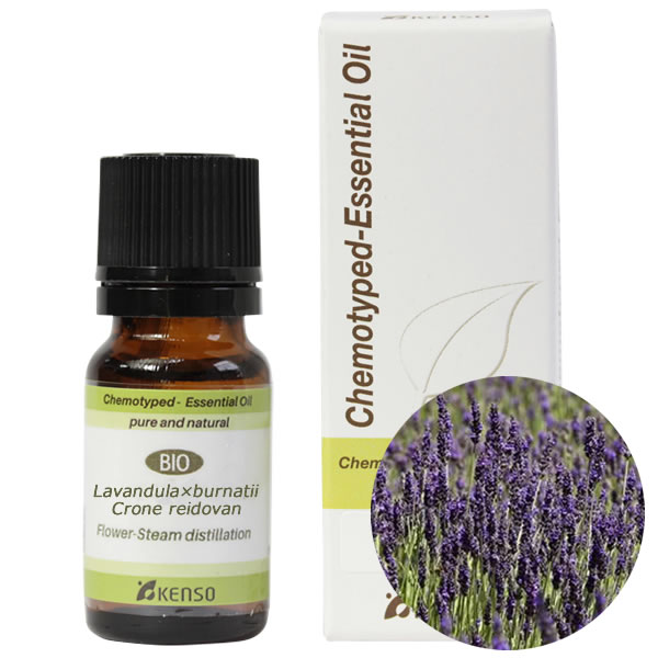 楽天市場】プラナロム AOP ラベンダー アングスティフォリア